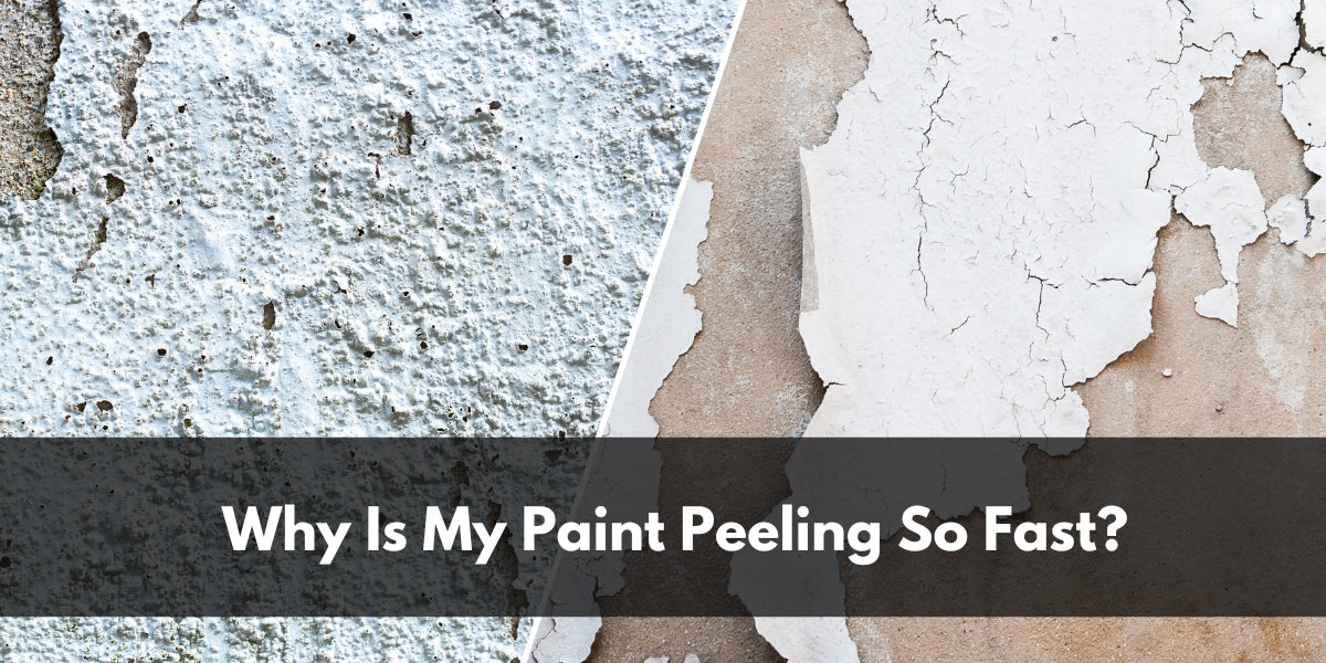 Why Is My Paint Peeling So Fast?