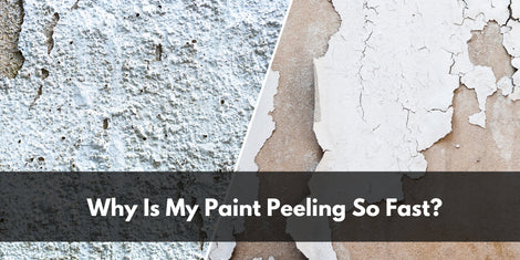 Why Is My Paint Peeling So Fast?